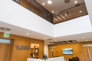 entrance iron entrance iron